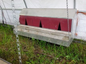 aluminum roll out nest for chicken shelters