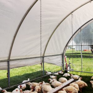 Cackellac jumbo range feeder chain hanging kit for chicken poultry feeder