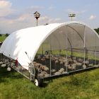 Cackellac chicken poultry shelter model 1312