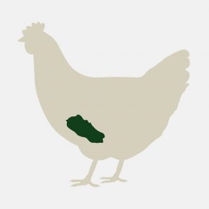 Good Nature Eco Farm - raising pasture raised meat chickens and laying hens - chicken liver is available for purchase fresh and frozen