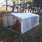 Cackellac chicken shelter model 322