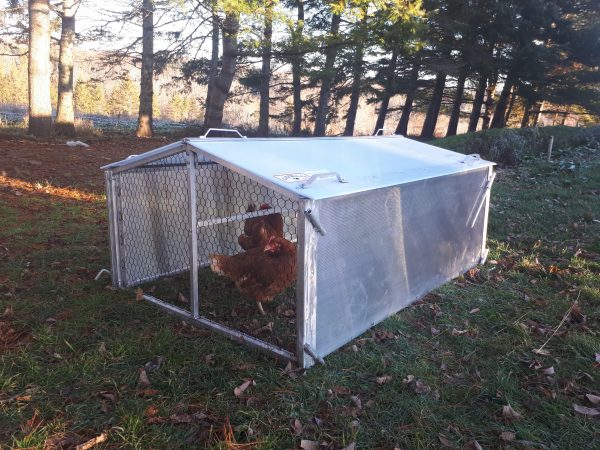 Cackellac chicken shelter model 322