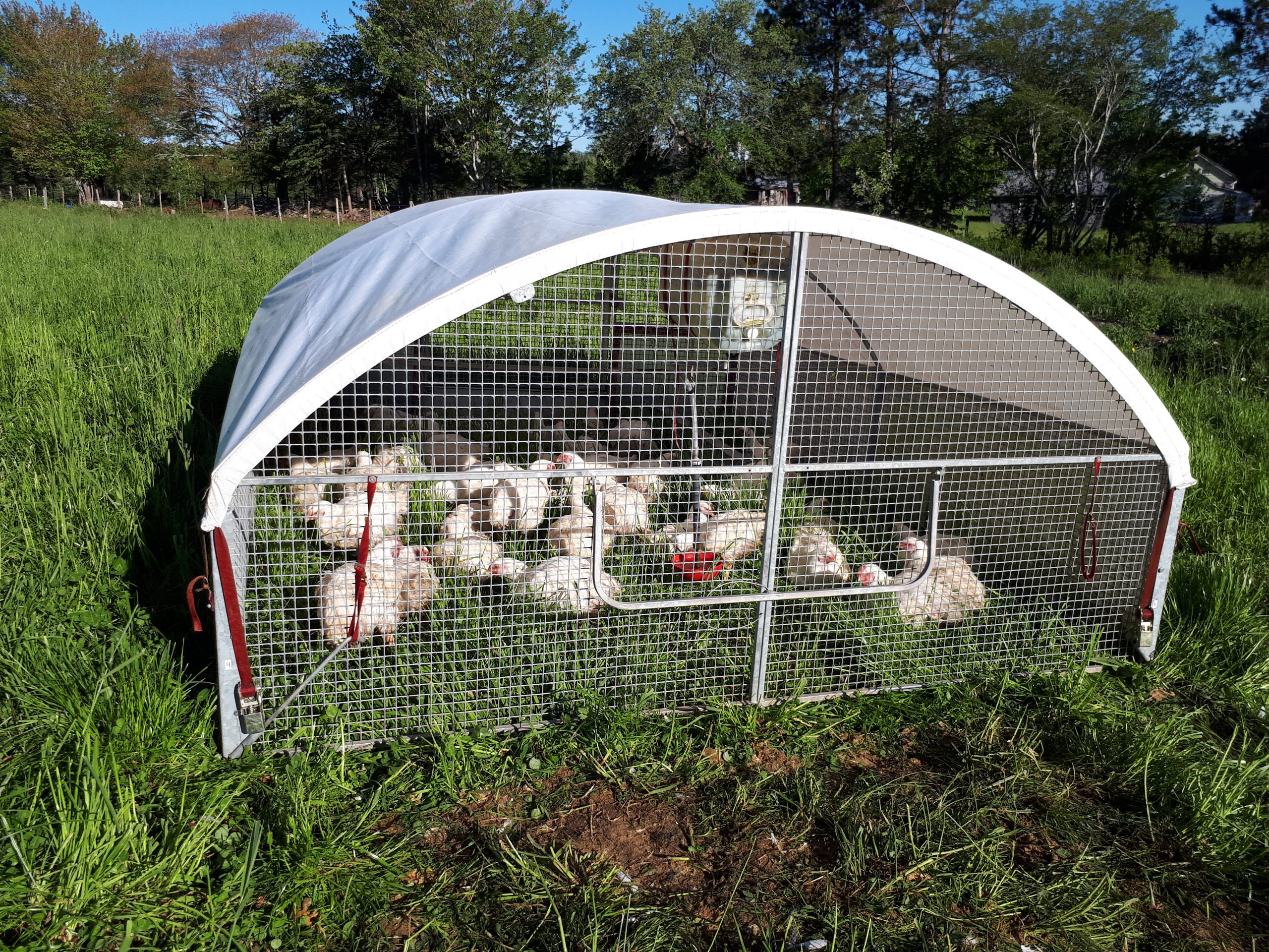 Cackellac Model 812 (8x10') - Good Nature Eco Farm