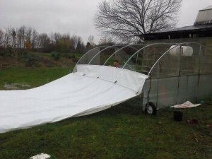 white cover for chicken shelters