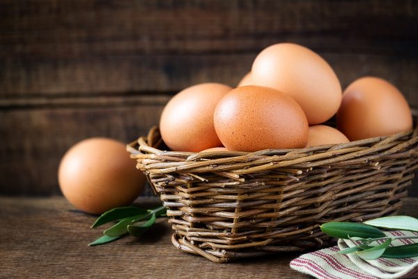 Fresh free range eggs from Good Nature Eco Farm